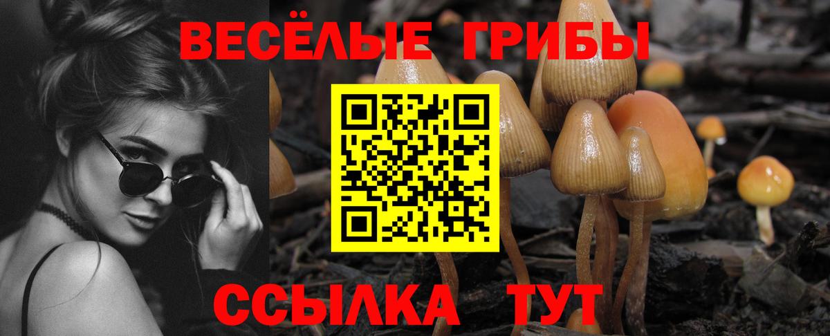 Псилоцибиновые грибы ЛСД Ипатово