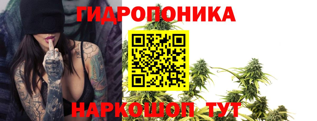 Конопля планчик Ипатово